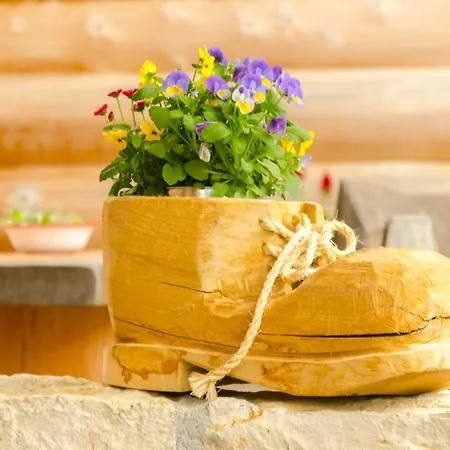 Heumanns Blockhaeuser Am Wald 度假村 *